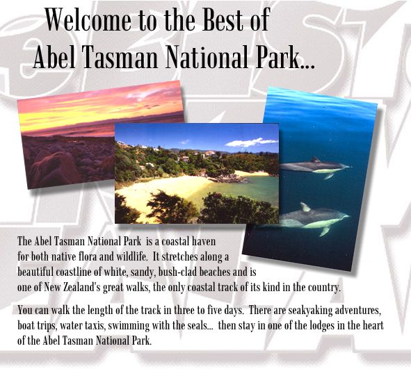 Best of Abel Tasman