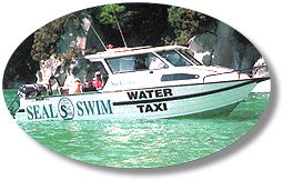 Abel Tasman Seal Swim and Water Taxi